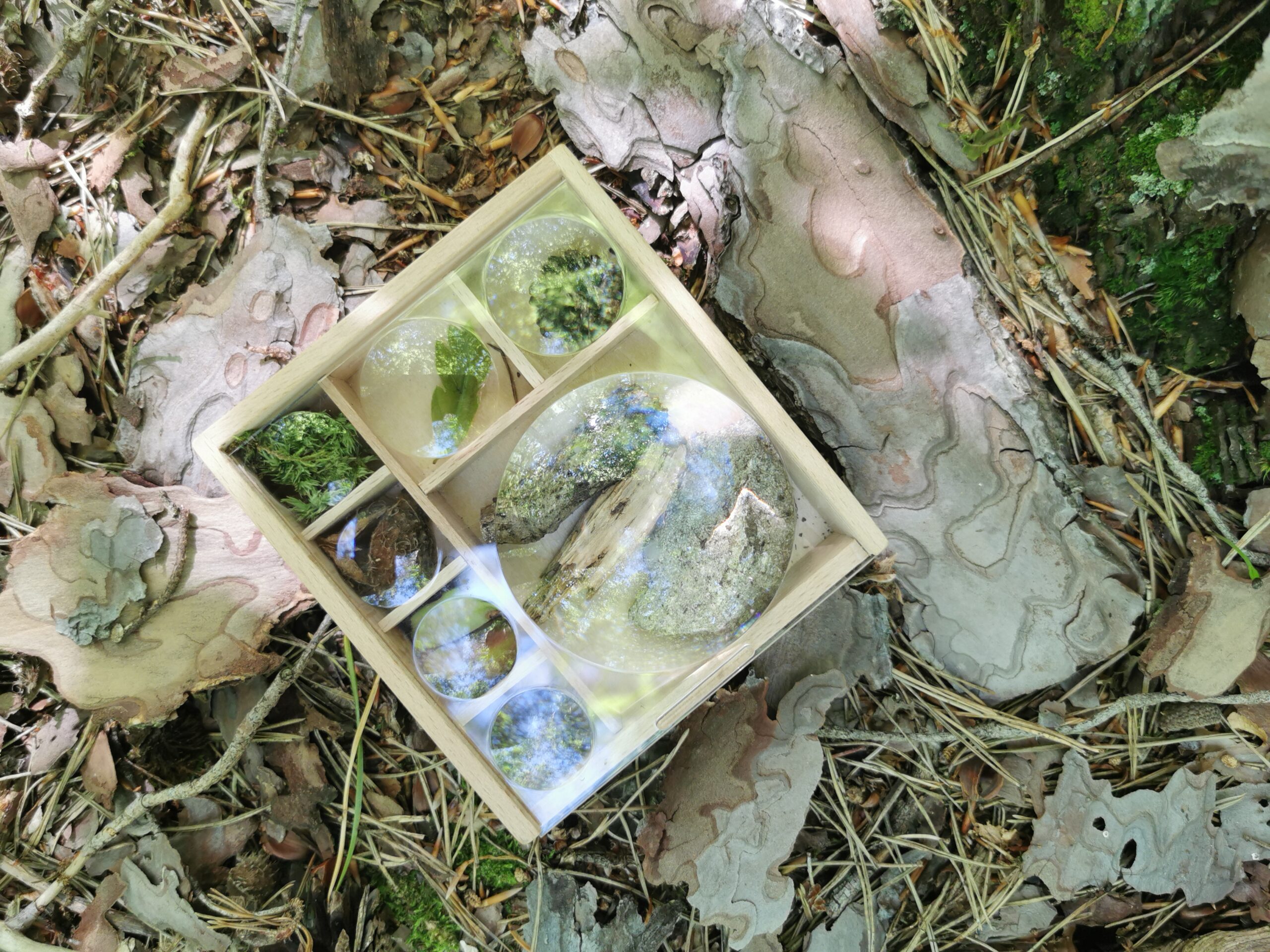 activités nature pour s'émerveiller en famille
