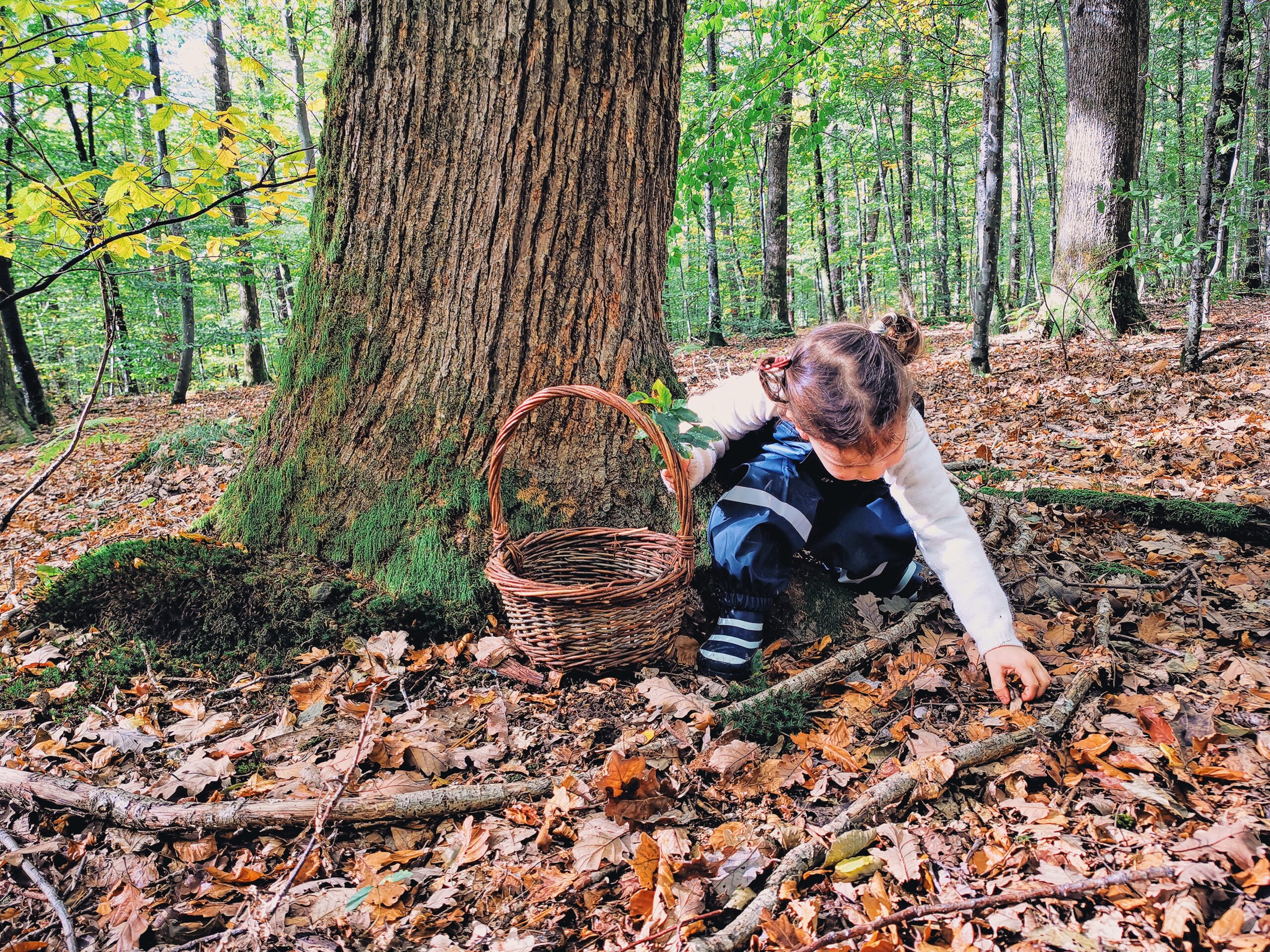 jouer dans la nature avec les enfants