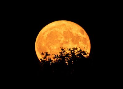 Pleine lune juin 2026 : pleine lune des fraises